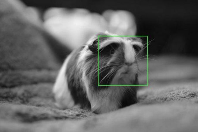 Photo Sharing Service #384<br>500 x 333<br>Published 9 years ago