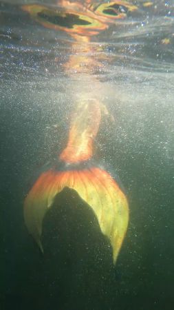 Mermaid Me Summer 2021 #1324<br>2,160 x 3,840<br>Published 5 years ago